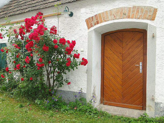 Nebentüren / Eingangstüren - ALLEMANN® GmbH Holz- u. Metallprodukte